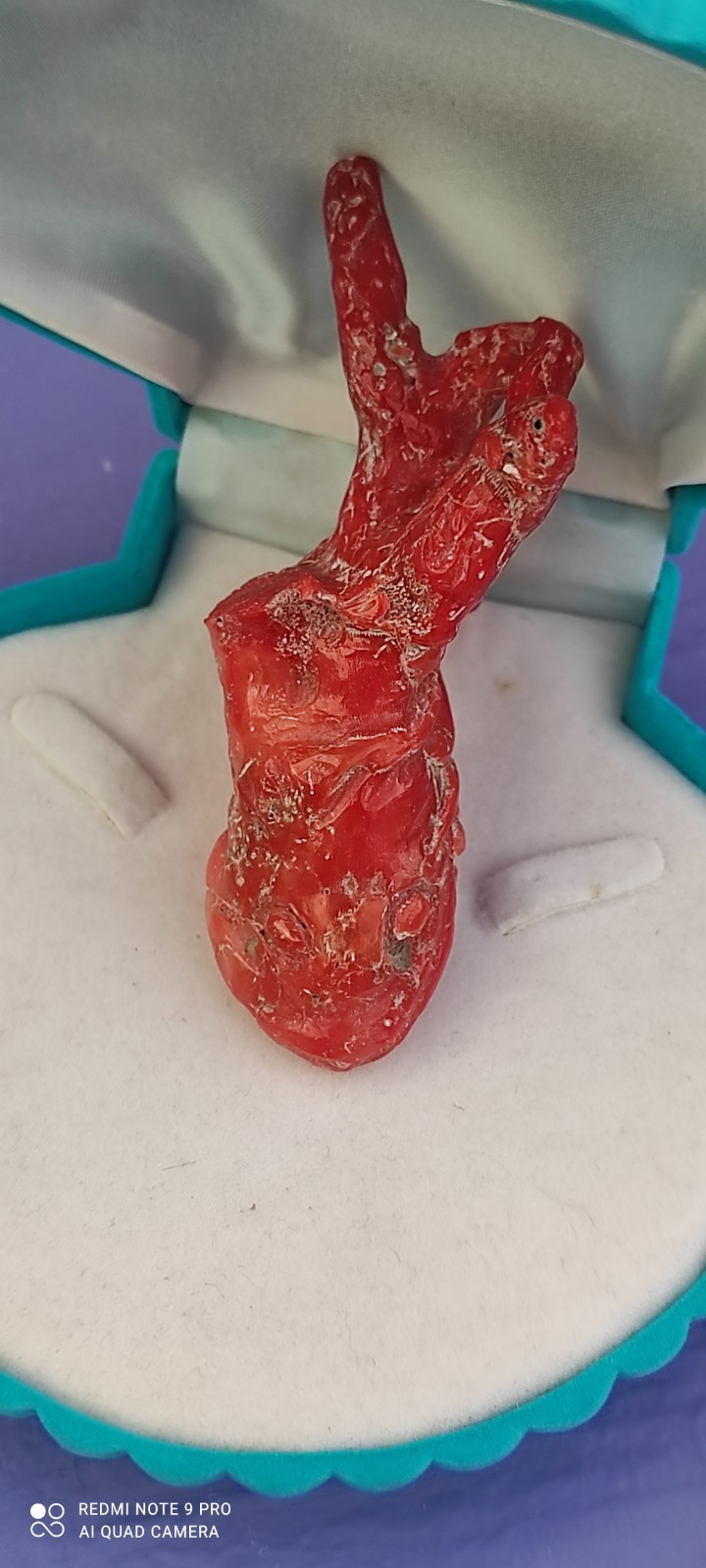 Natural Red Coral of Sardinia