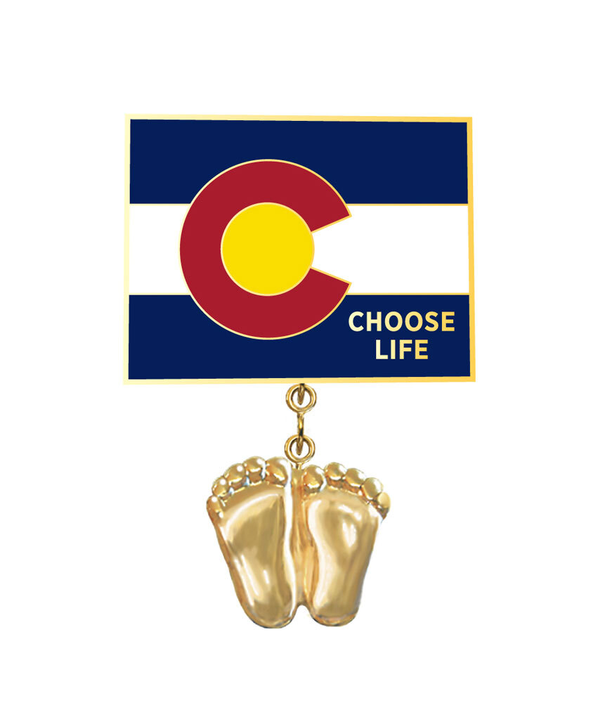 Precious Feet, 14K Gold Plated, Colorado Flag Jewelry, Lapel Pin
