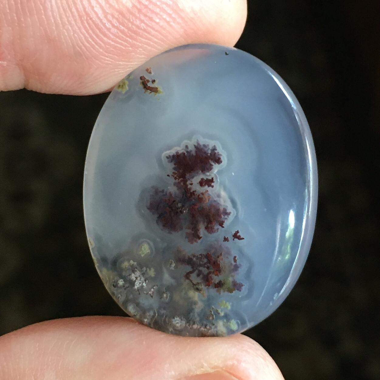 28×22.5×5.4mm Very Fune Dendrite Agate Oval Cabochon Loose Picture Stone