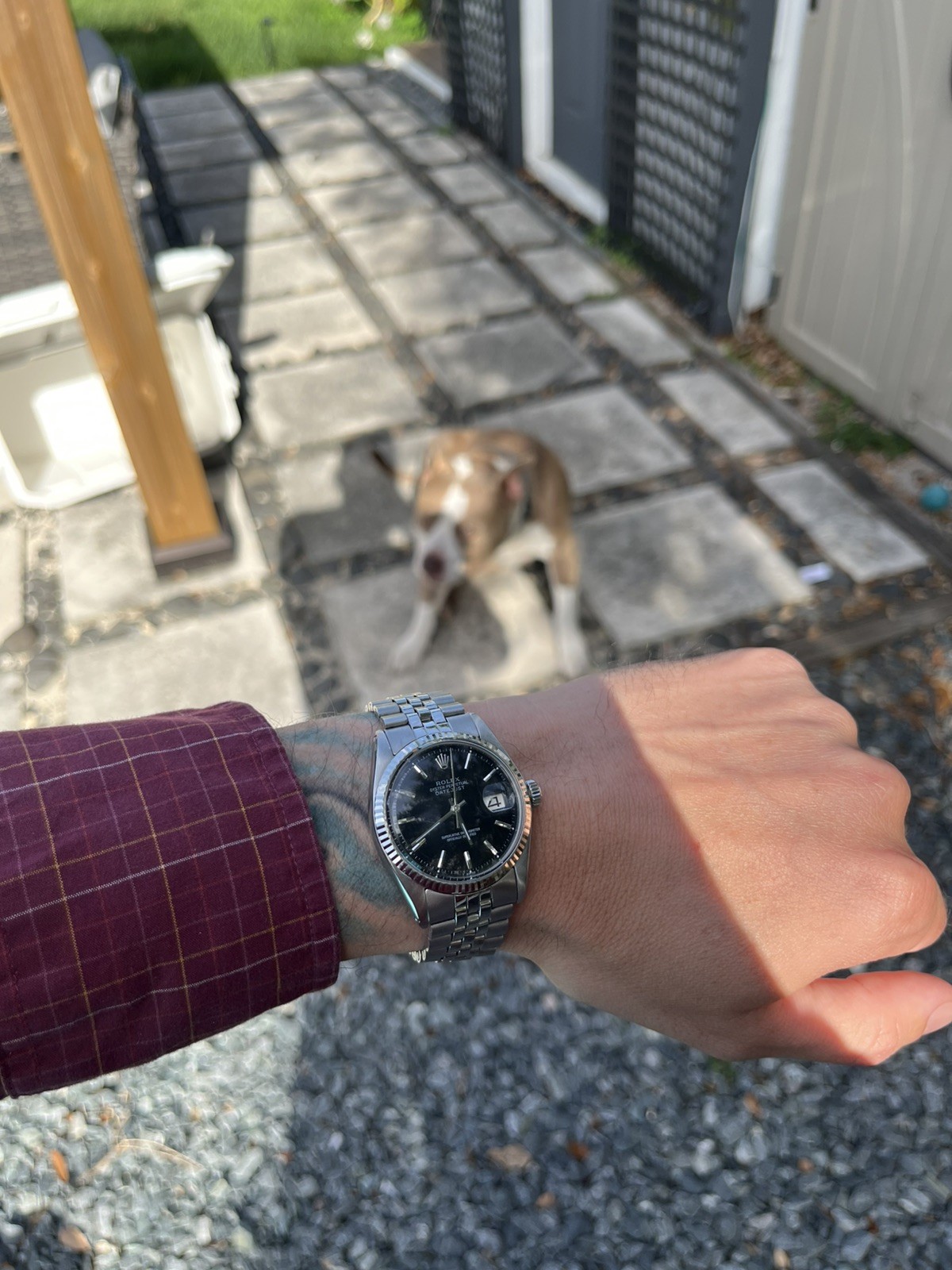 Rolex 1601 | 36mm | Folded Jubilee | Box & Booklet