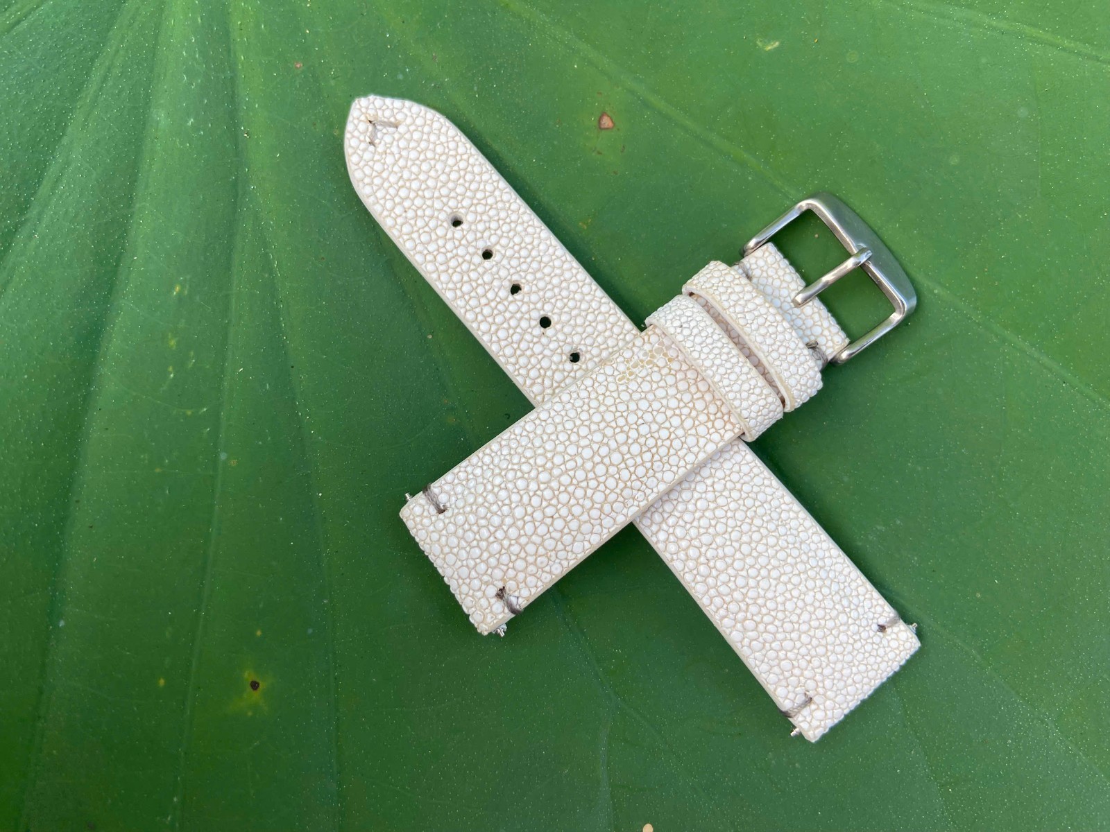 White Stingray Leather Watch Strap Band, Size 18mm 19mm 20mm 21mm 22mm 24mm 26mm