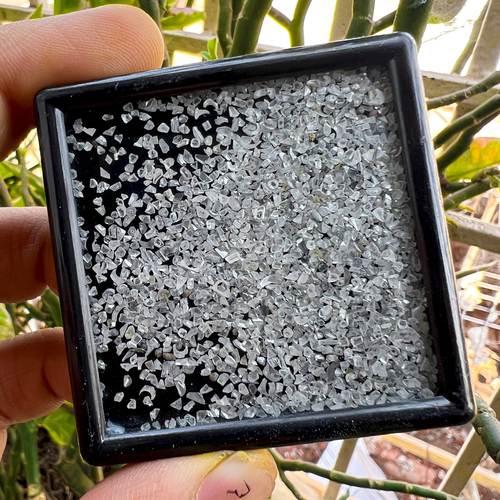20 Ctw+ Raw Uncut 100% Loose Diamonds
