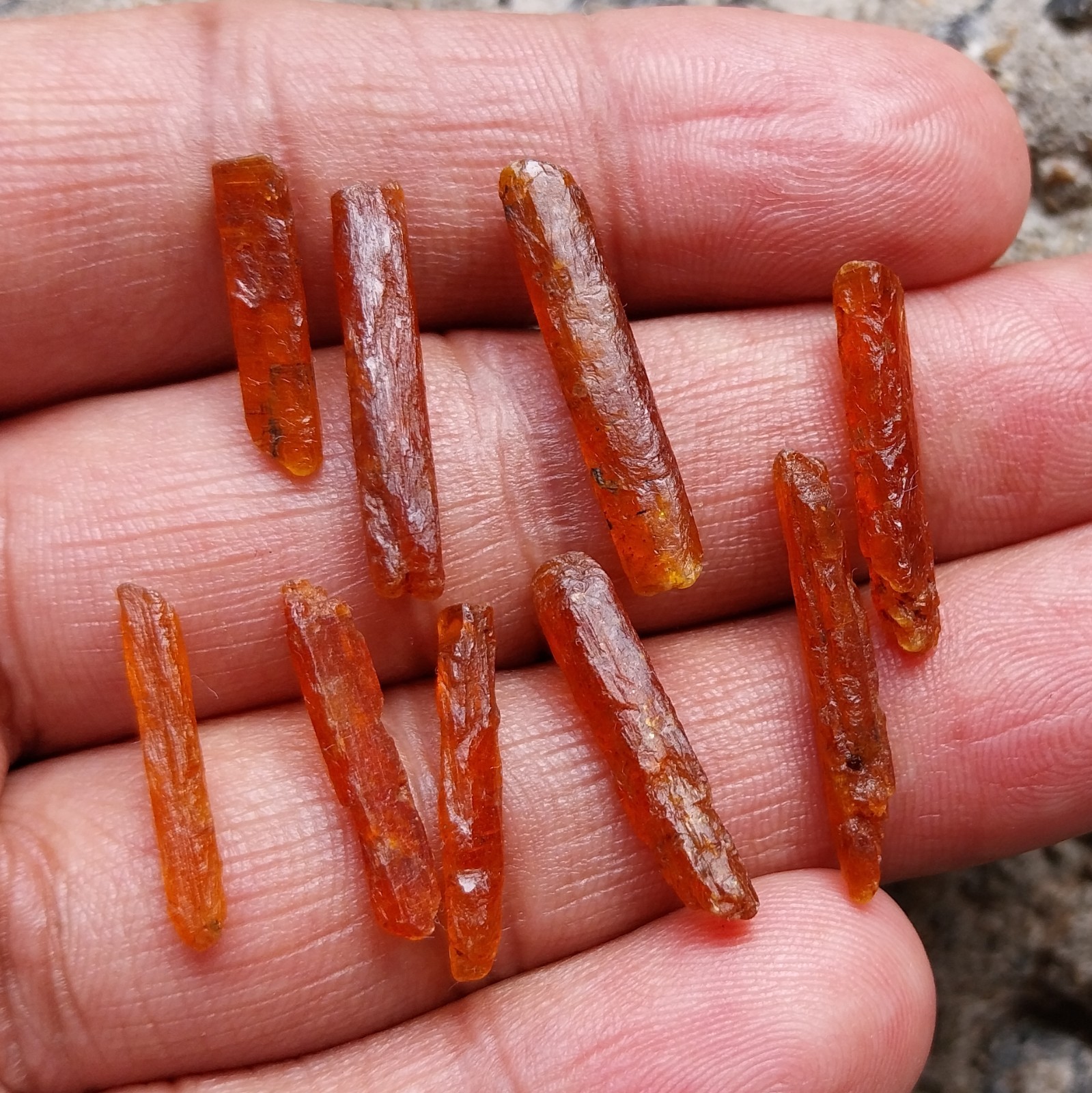 31 Carat 17 to 35 MM Natural Orange Kyanite Crystal Raw Rough Pencil 9 Piece Lot