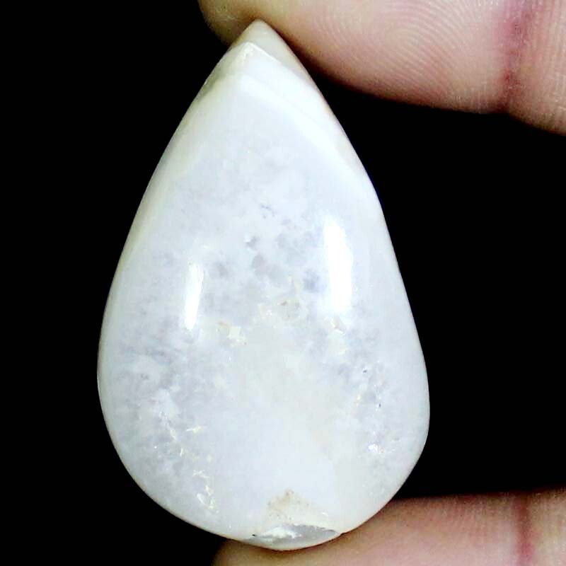 100% Natural Fossil Snail Druzy Gemstone 111.90 CTS 28X45X12mm snail druzy BC-38