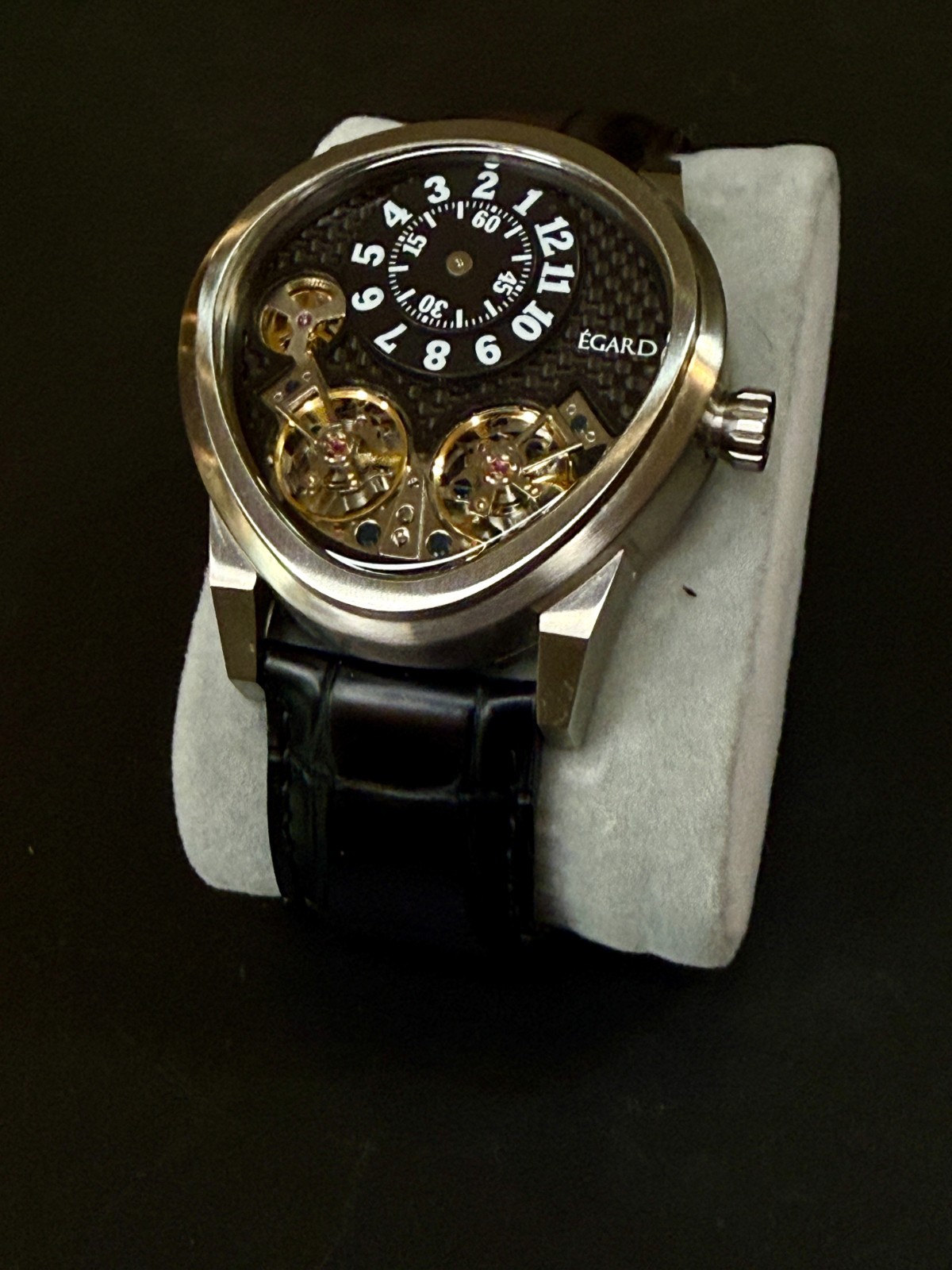 Egard Quantus Carbon Beast Watch