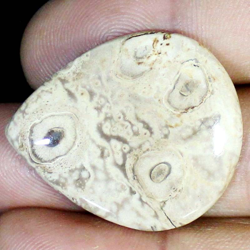 44.45 CT Natural Petrified Wood Agate PEAR Cabochon , Petrified stone 31x36x5 mm