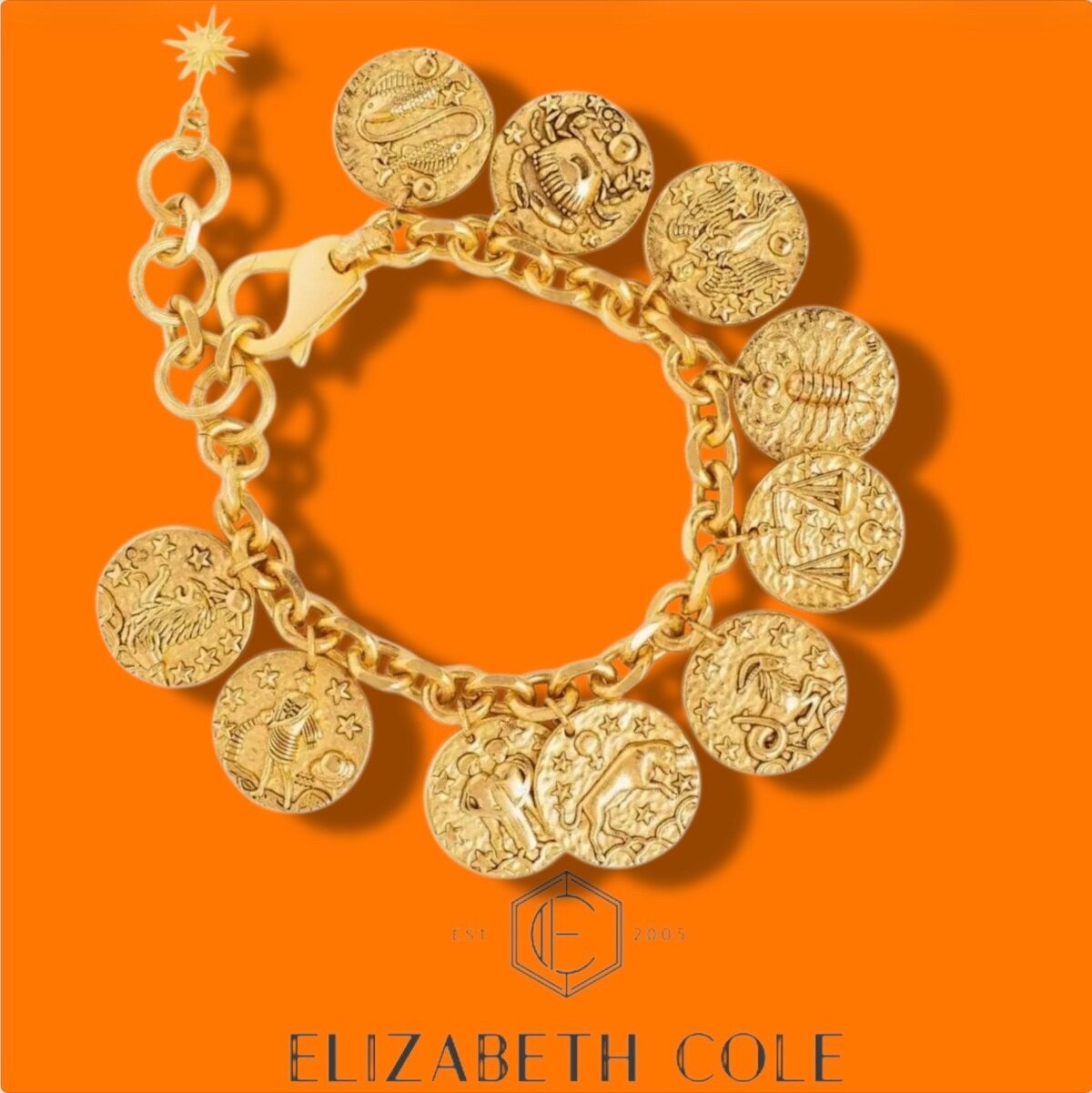 Elizabeth Cole Jewelry Aurea Charm Bracelet 24K Gold Zodiac Sign Charms