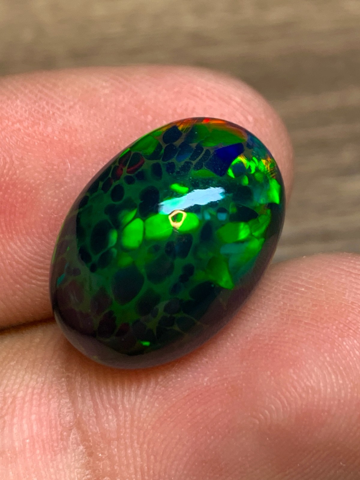 Ethiopian Honeycomb Black Opal 13x18mm Oval Cabochon 8.6crt Gemstone for Jewelry