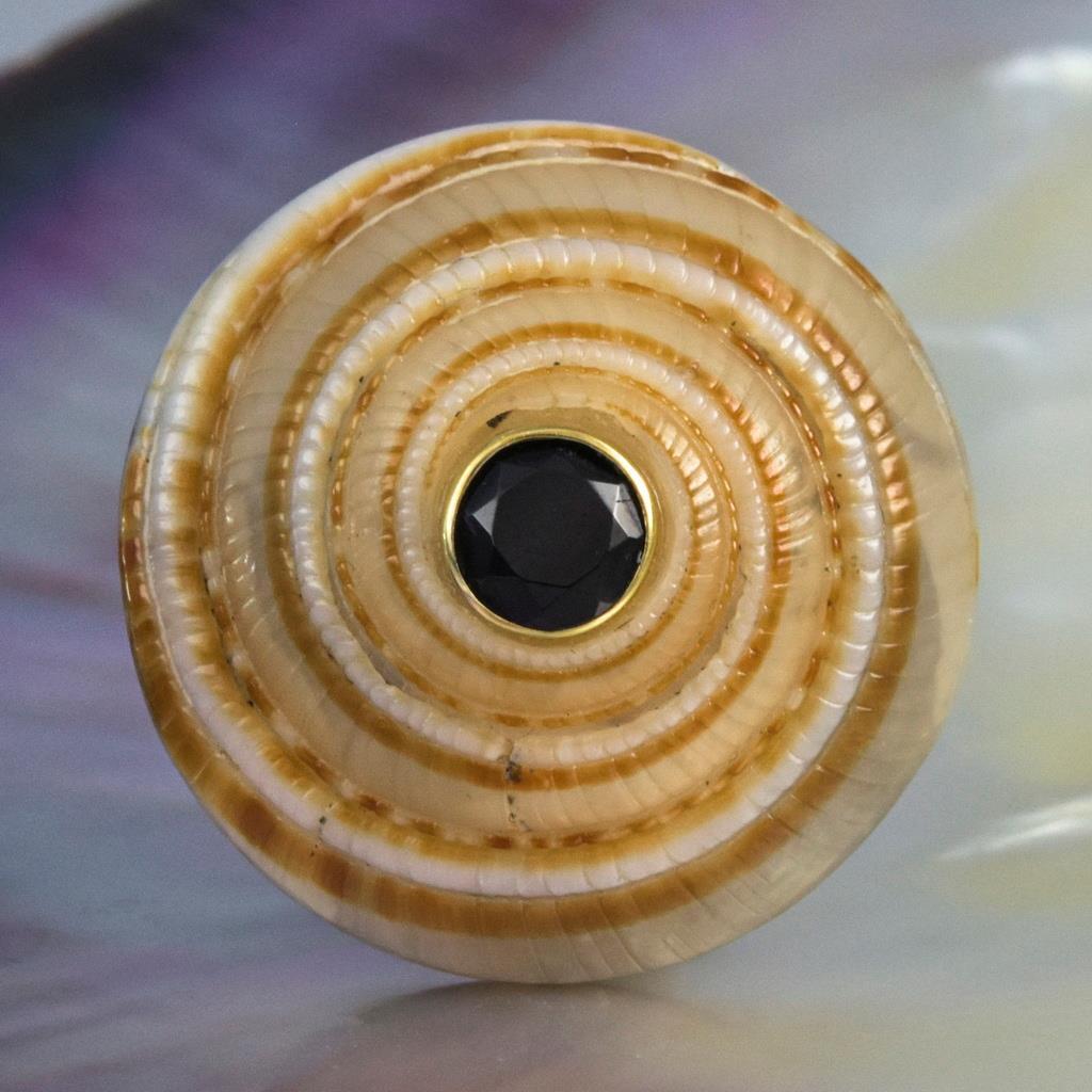 Evil Eye Design Natural Sea Snail Architectonica trochlearis Black Spinel 6.00g