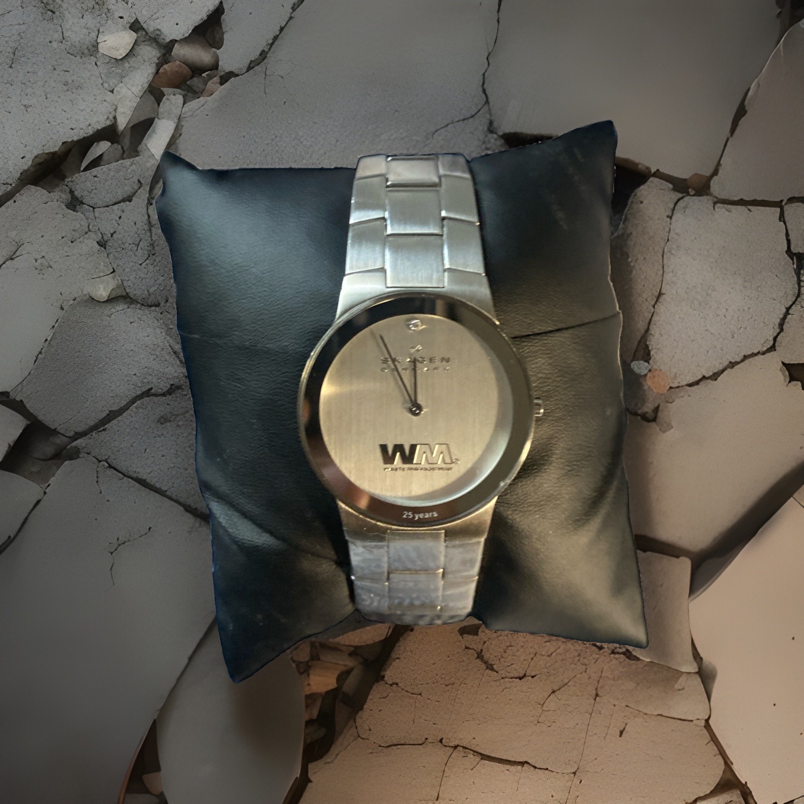 Skagen Denmark WM Waste Management 25 Years Diamond Quartz Watch