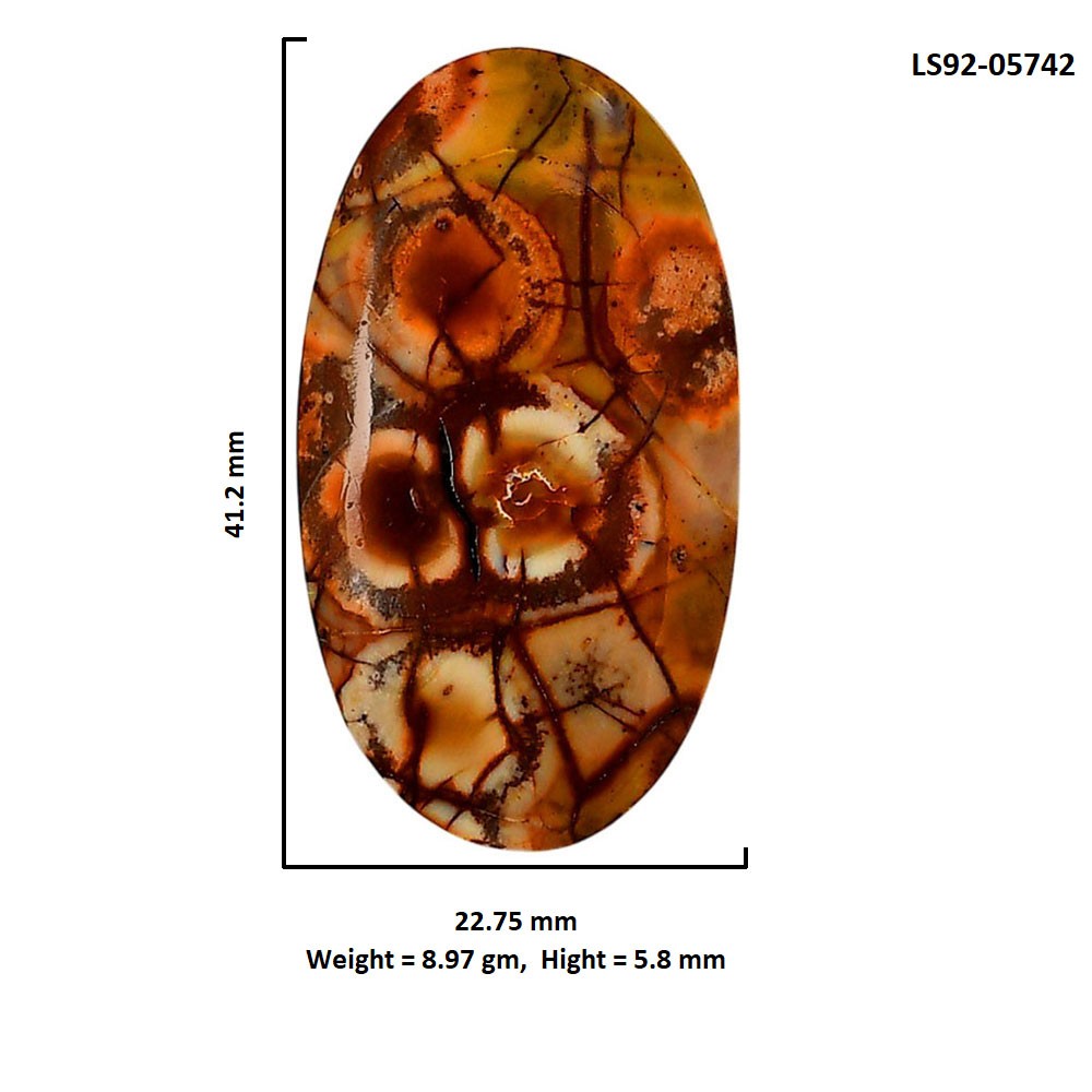 Mexican Bird Eye 22.75×41.2×5.8 mm Oval Shape Polished Gemstone LS92-05742