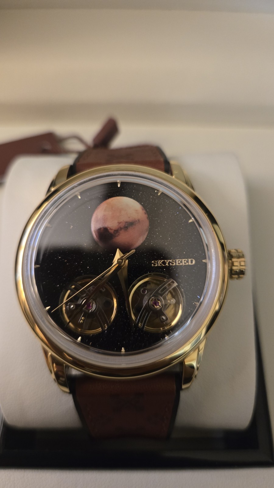 SKYSEED Mechanical Automatic Mars Luxury Watch