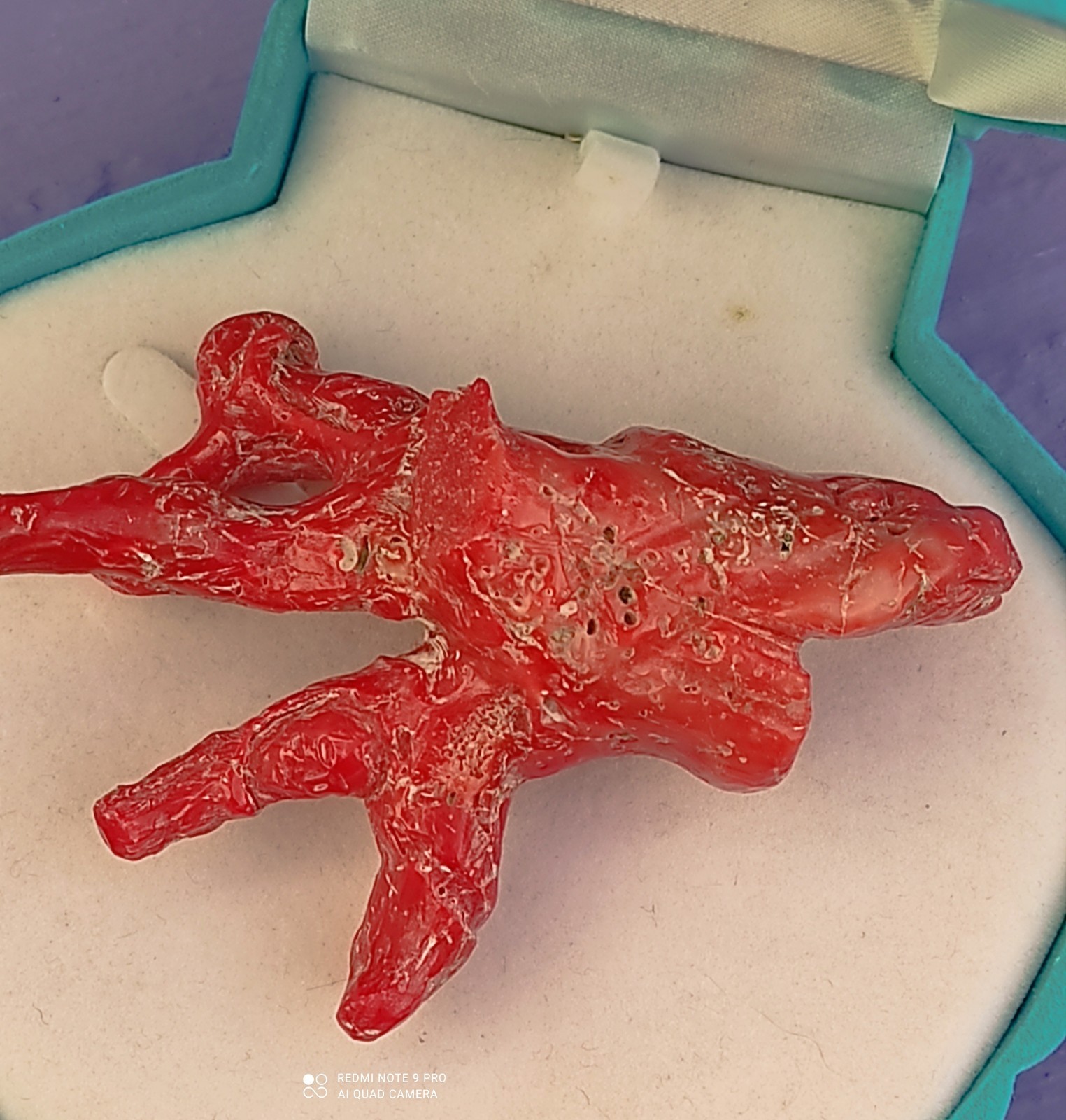 Natural Red Coral of Sardinia