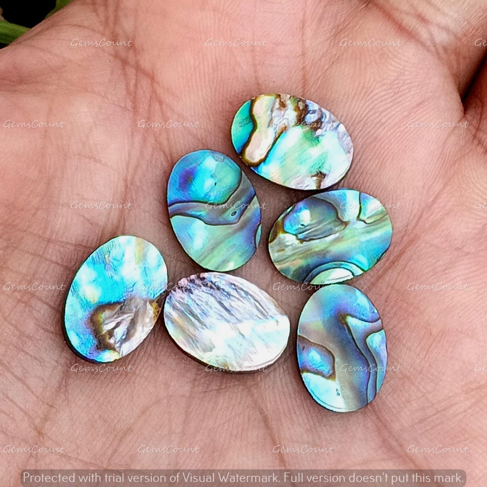 Natural Abalone Shell Flat Back Oval Cabochon Loose Gemstone 5x7mm-15x20mm