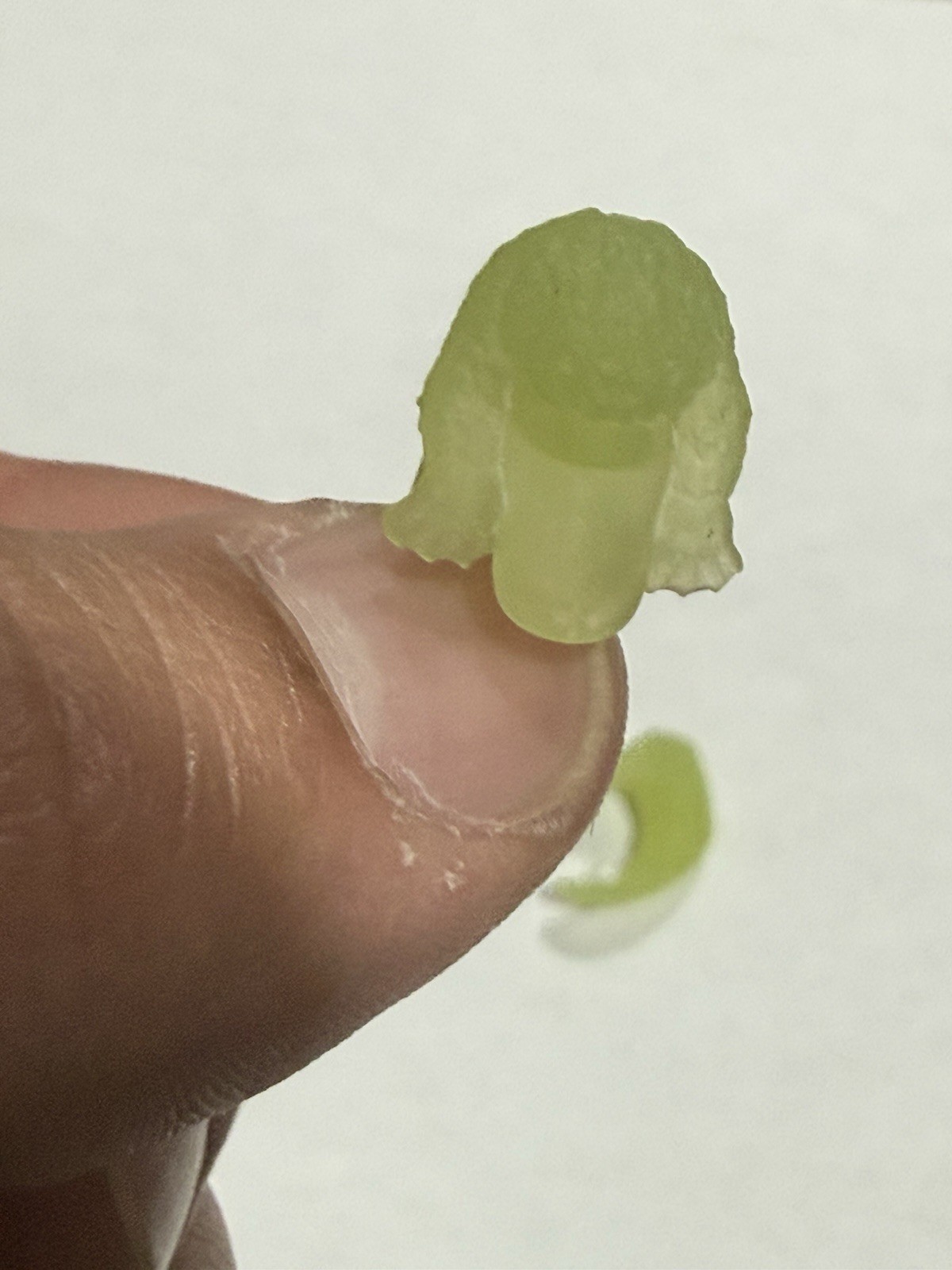 00G 10mm Glow in the Dark Platypus Ear Hangers Pair Handmade Body Jewelry Gauges