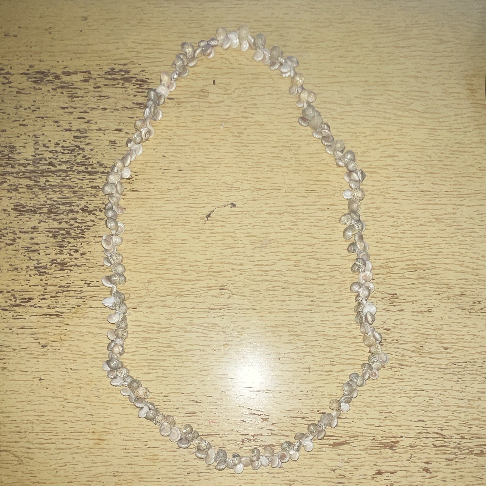 White Beige Natural Shell Beaded Strand Necklace No Clasp Beach/Ocean