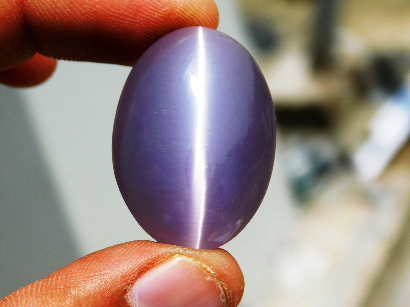 Natural 54 CT Beautiful Oval Cabochon Cut Bi-color Cats Eye Loose Gemstone