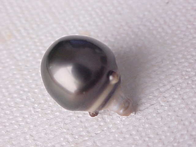 10.2MM X 14MM AAA GENUINE TAHITIAN PEARL HALFDRILLED #243