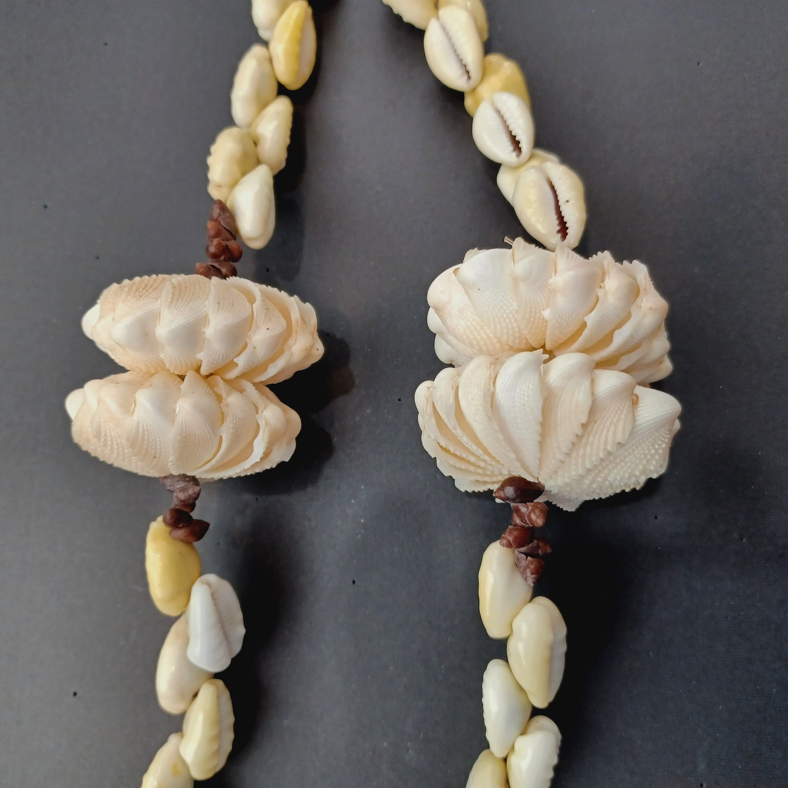 Vintage Rare Hawaiian X-Large Cowrie Shell Necklace & Pendant + Sea Shells