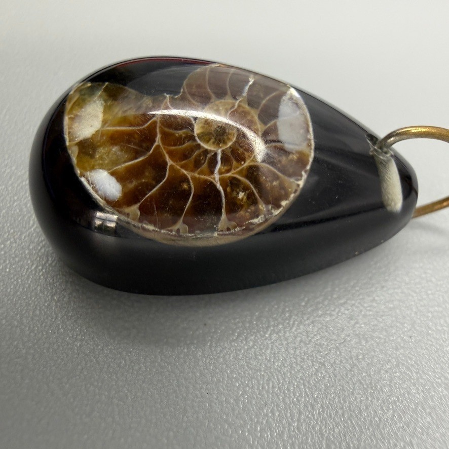 Ammonite Fossil in Clear Resin Teardrop Pendant Suspended