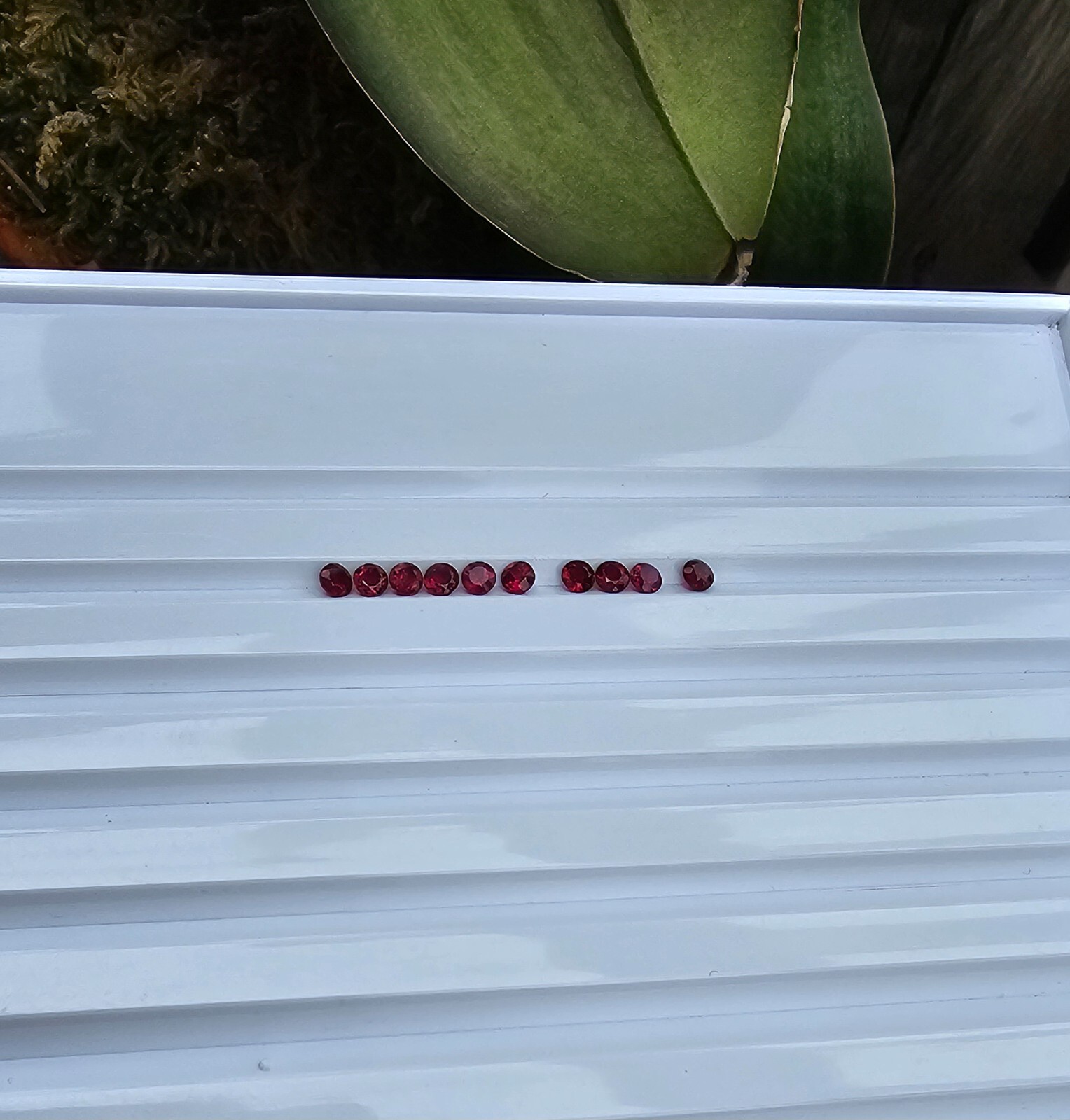 Rubys Set of 10 pieces Loose Gemstones