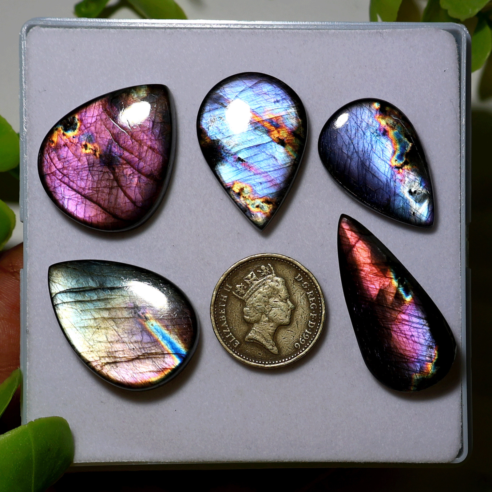Finland 5 PC Natural Spectrolite Hi-Grade 29mm-38mm Teardrop Cabochon Gemstones