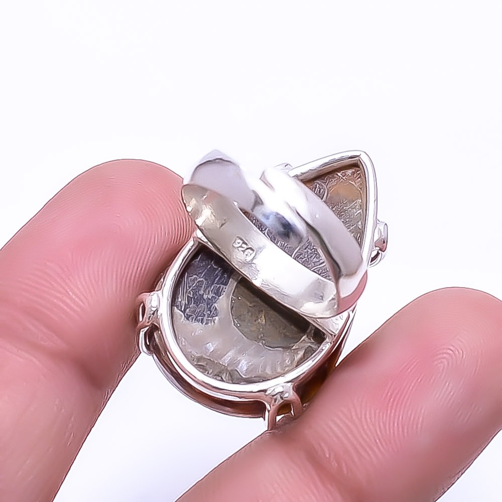 Cleoniceras Cleon Ammonite -Fossil Solitaire 925 Sterling Silver Ring s.7.5 R121