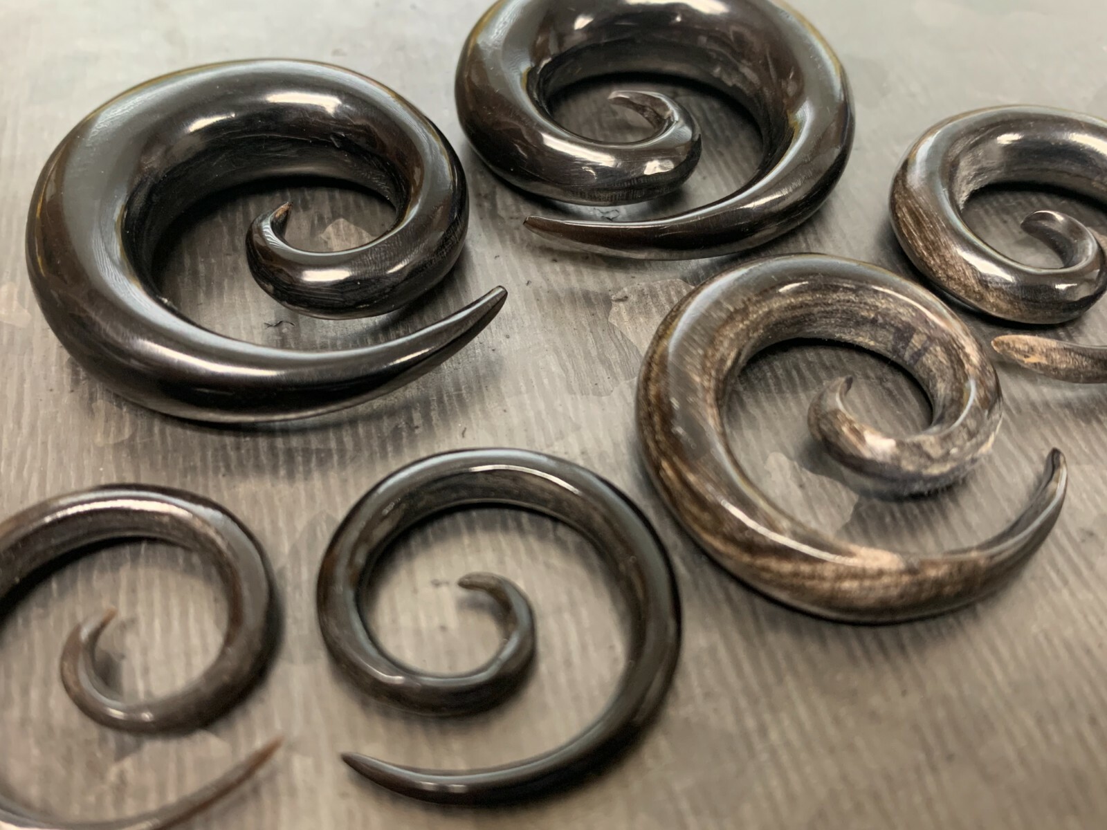 PAIR Organic Horn Spiral Tapers Plugs Tunnels Gauges Body Jewelry