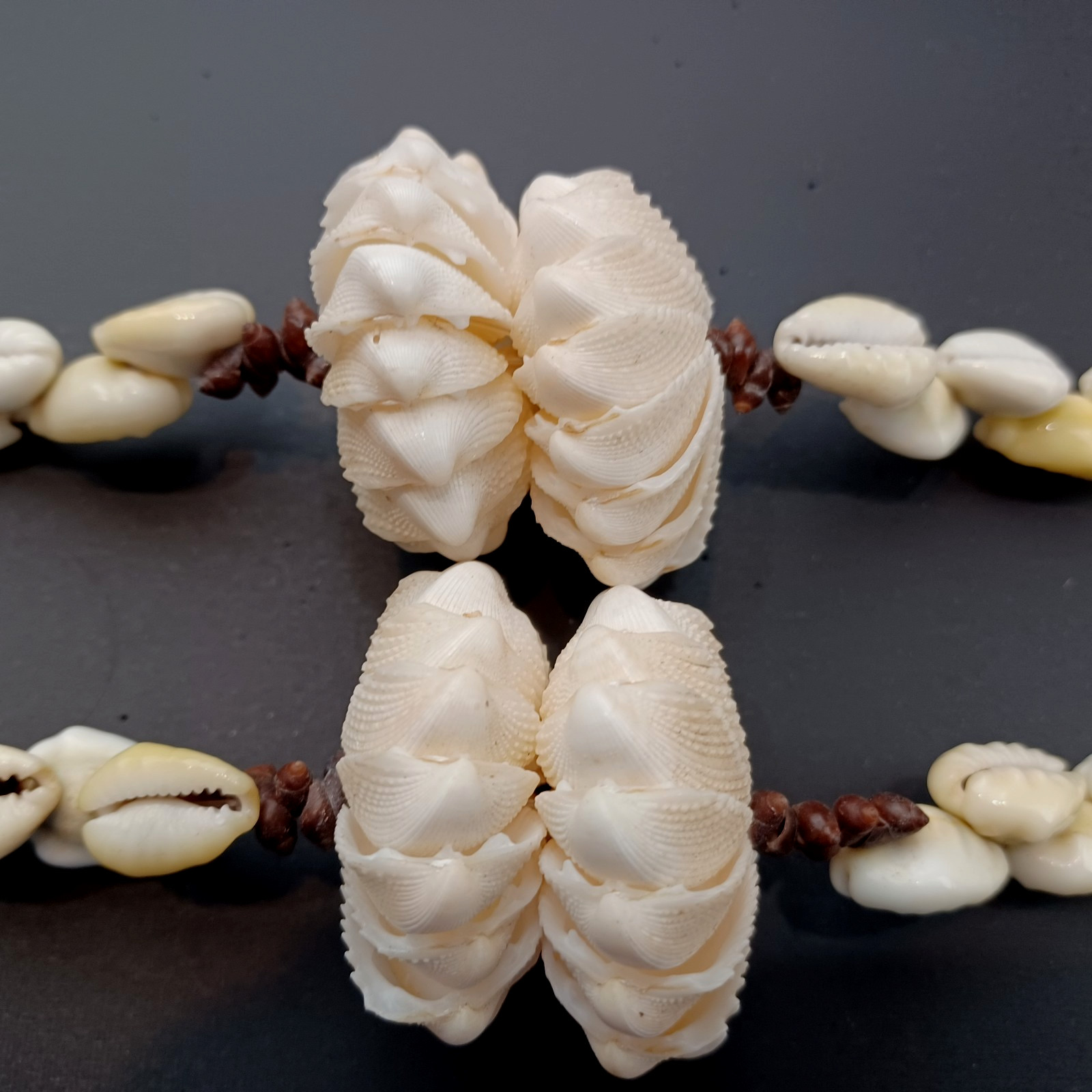 Vintage Rare Hawaiian X-Large Cowrie Shell Necklace & Pendant + Sea Shells