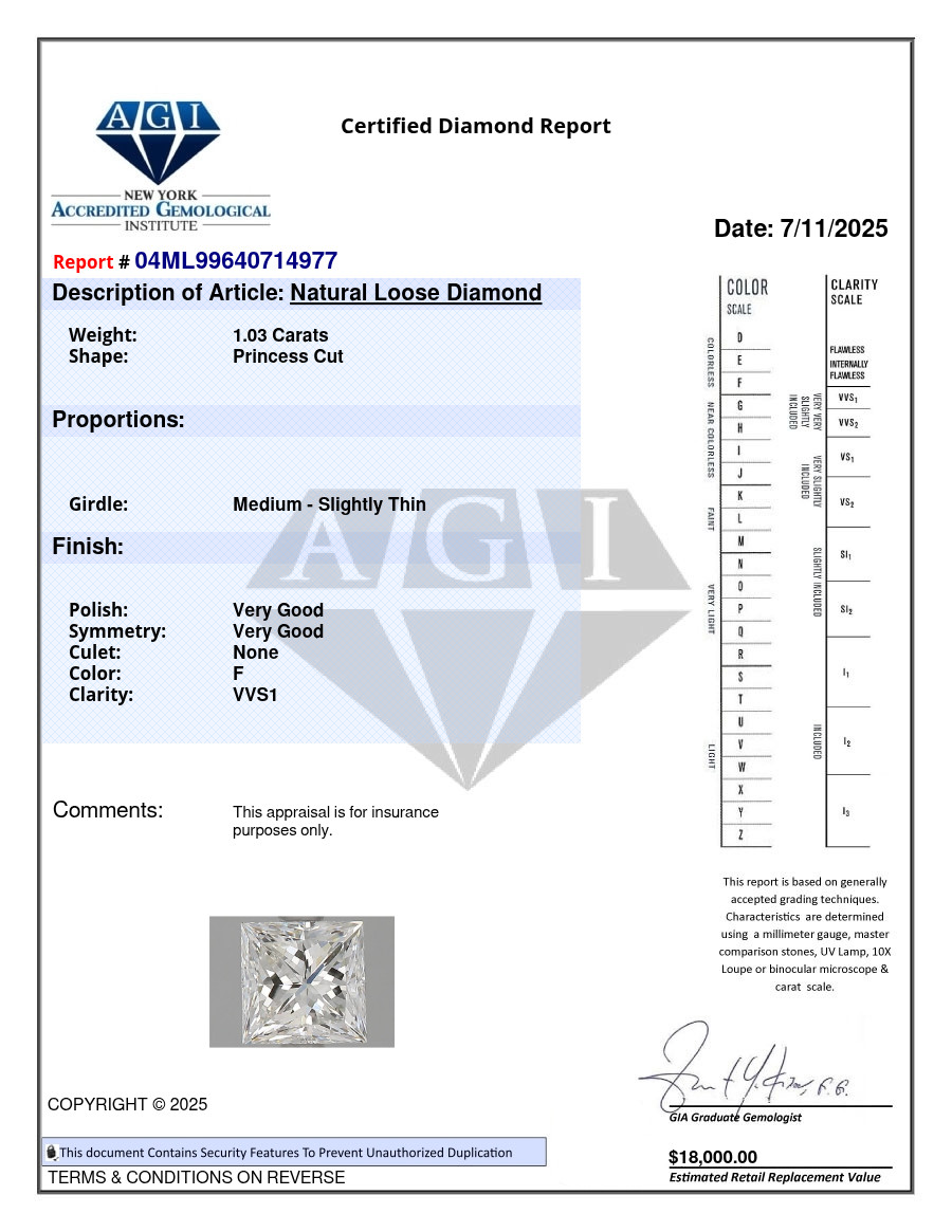 1.03 CT Cert. AGI Princess Cut Natural Mined Diamond Loose F color VVS1 clarity