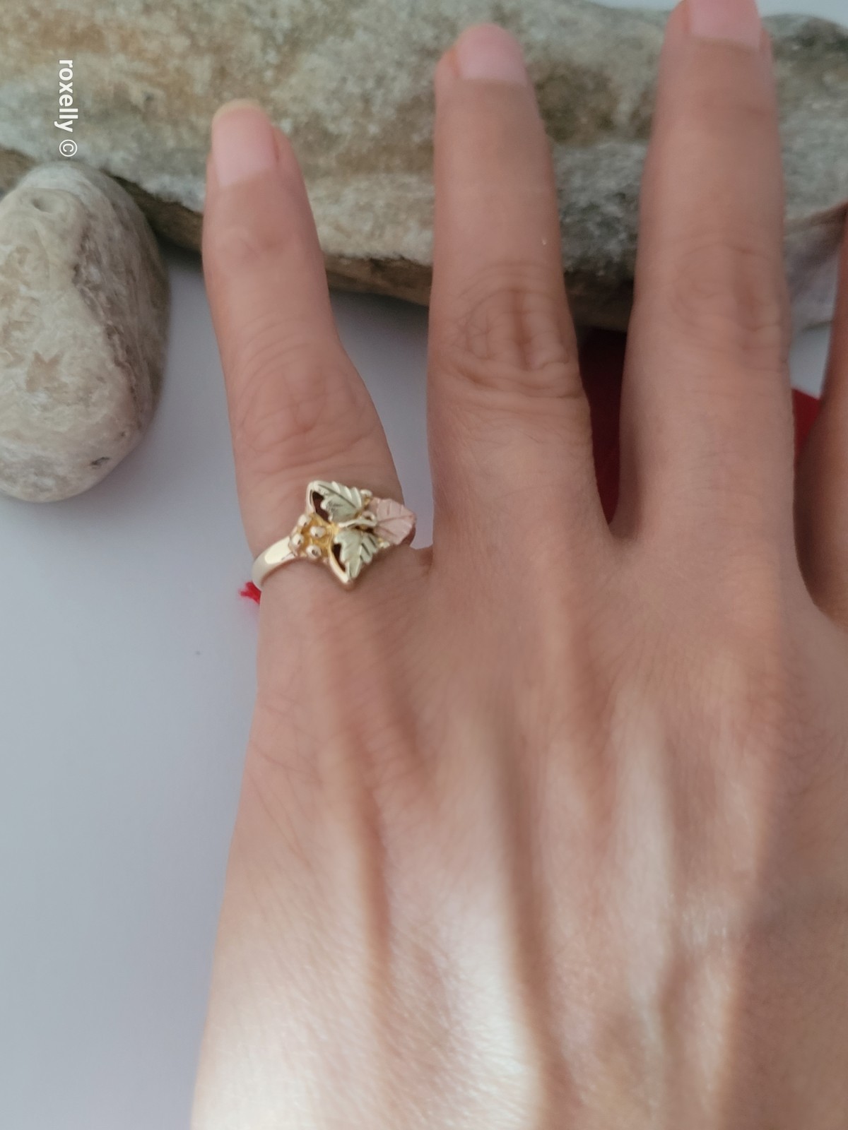 10K Yellow and Rose Gold Black Hills Leaves Ring Size 3, Solid Gold!