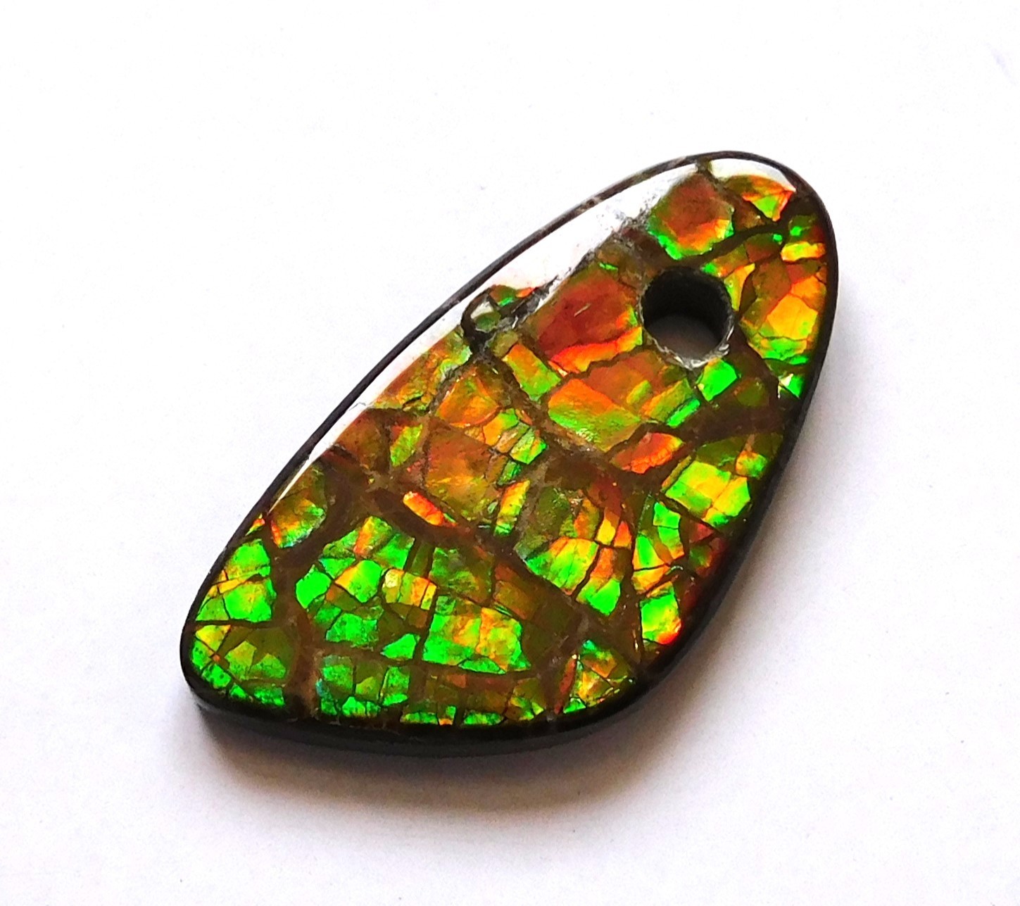 20.50 Cts Natural Canadian Ammolite Donut Gemstone 29.9X15.8X4MM LH16