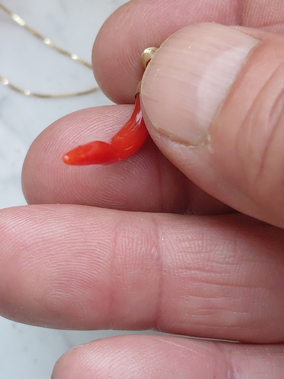 SARDINIAN RED CORAL HORN NECKLACE + AMULET ON SILVER,925