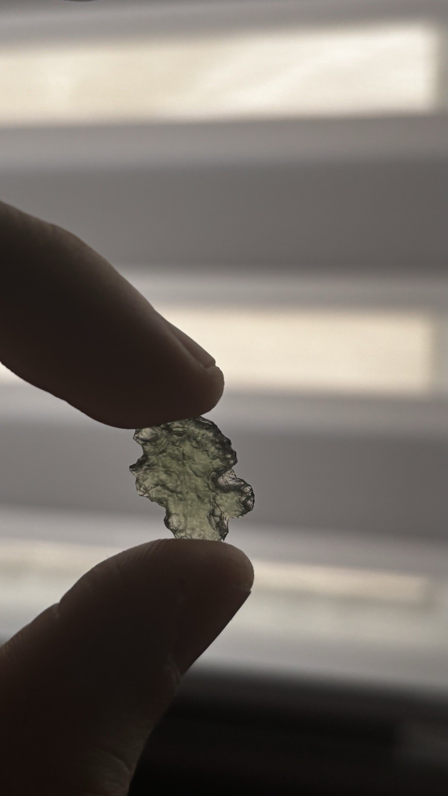 Genuine Moldavite Gemstones Lot 5pcs Freeform Translucent Czech Republic 13.5cts