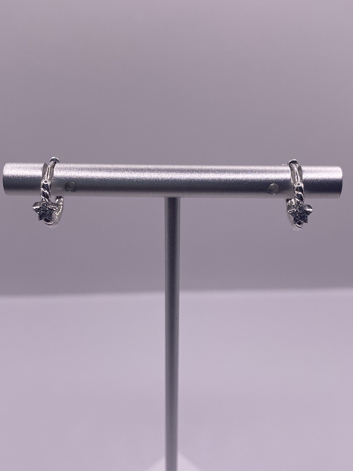 Nice Twist Design With Star And Crescent In The Center Earring Sterling Silver