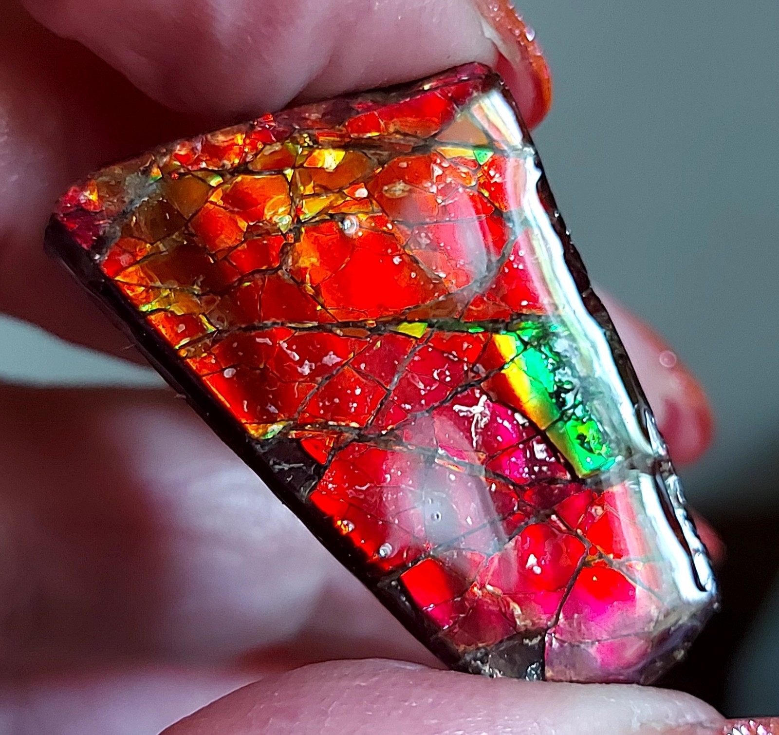 Ammolite Ammonite Coated Stone BRIGHT C Changer 28.7×21.8×4.7mm 5647
