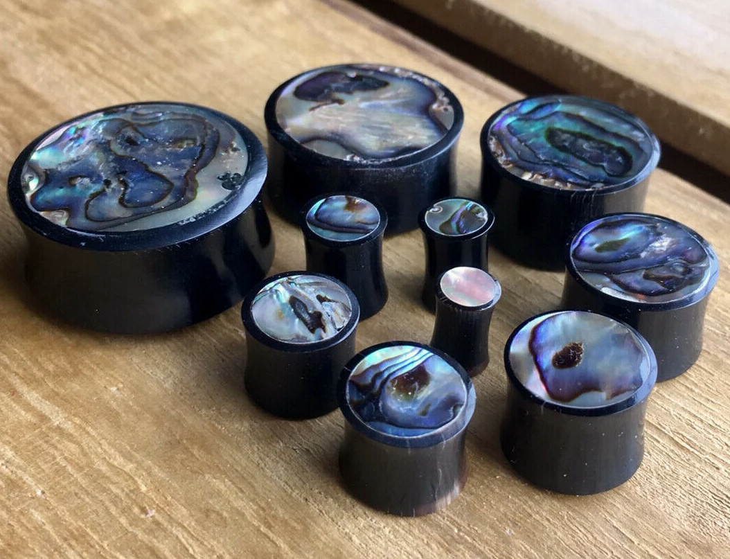 PAIR Horn Plugs w/ Abalone Inlay Earlets Gauges Organic Body Jewelry