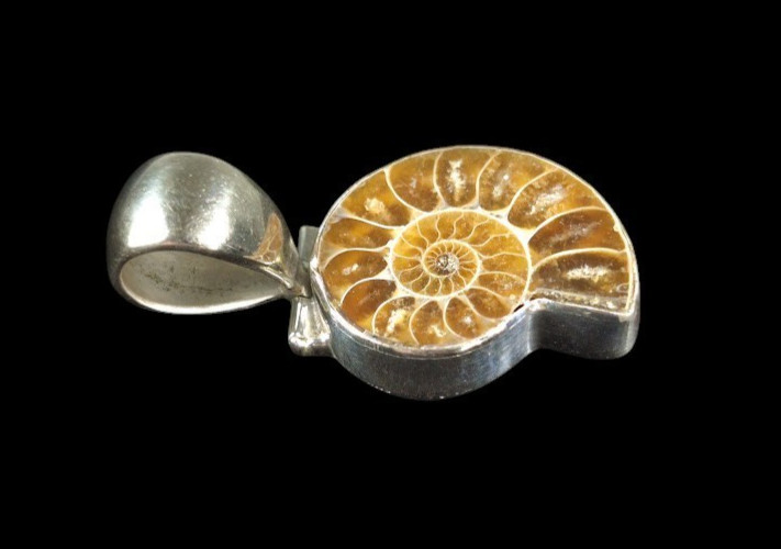 Vintage Ammonite Fossil Pendant 925 Sterling Silver Bezel Spiral Shell 1.75″
