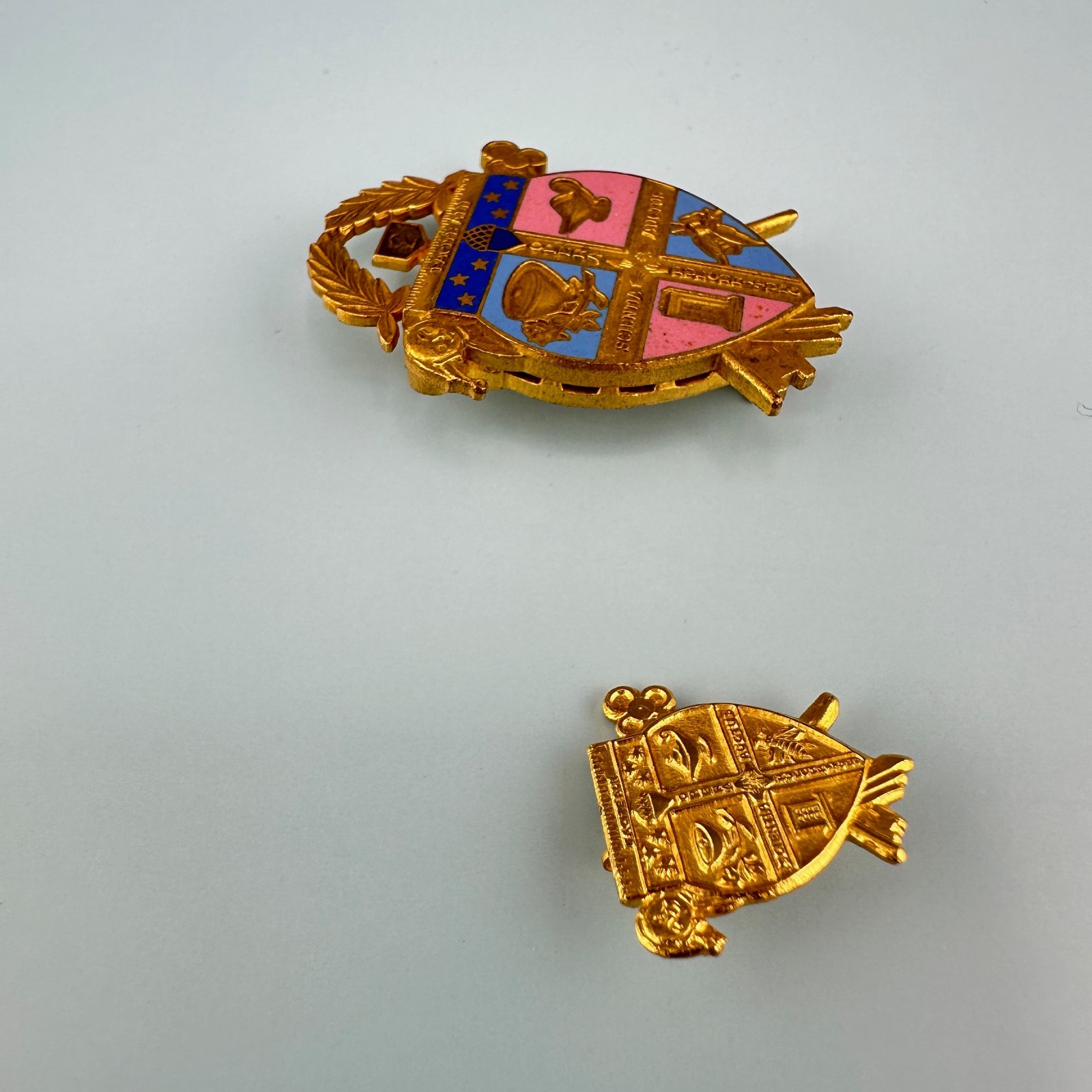 Vintage Coat of Arms Pin Lot Gold Tone Facital Scientia Auctus Opera Pulchritudo