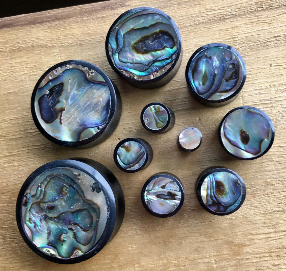 PAIR Horn Plugs w/ Abalone Inlay Earlets Gauges Organic Body Jewelry