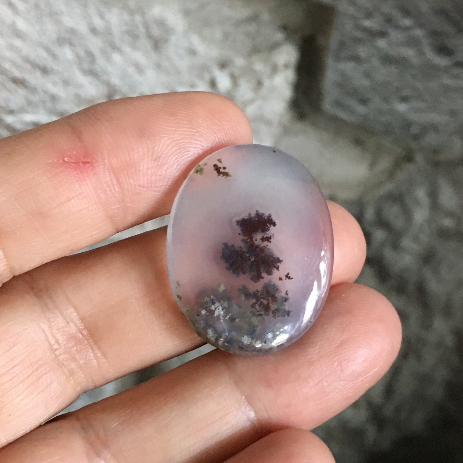 28×22.5×5.4mm Very Fune Dendrite Agate Oval Cabochon Loose Picture Stone