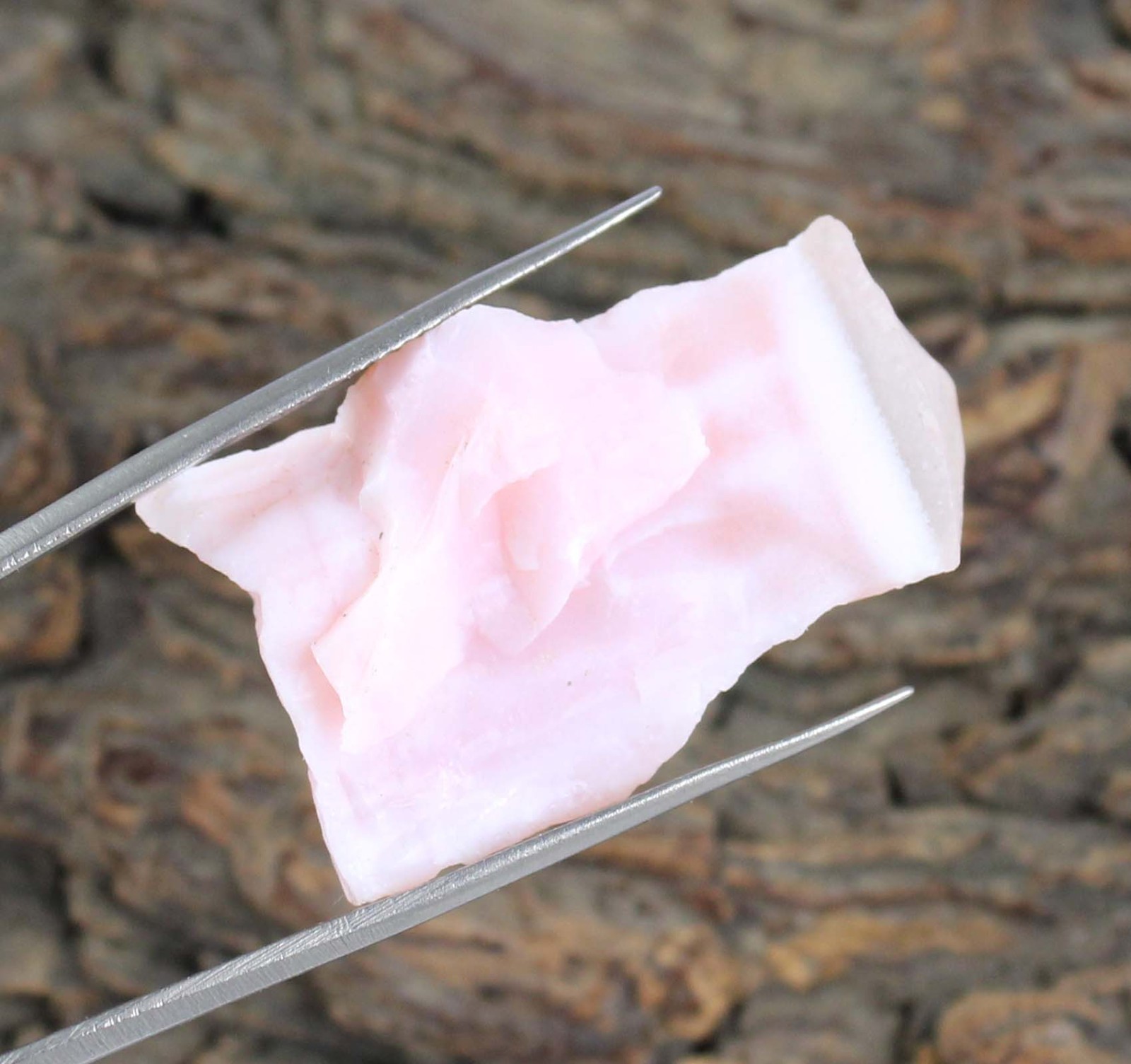 Peru Pink Opal 40.55 Ct Natural Gems Certified Rough T33110 Collection Specimen