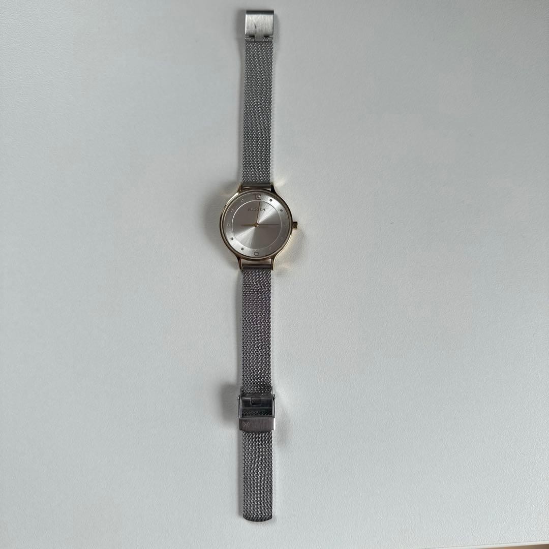 Skagen wristwatch silver gold