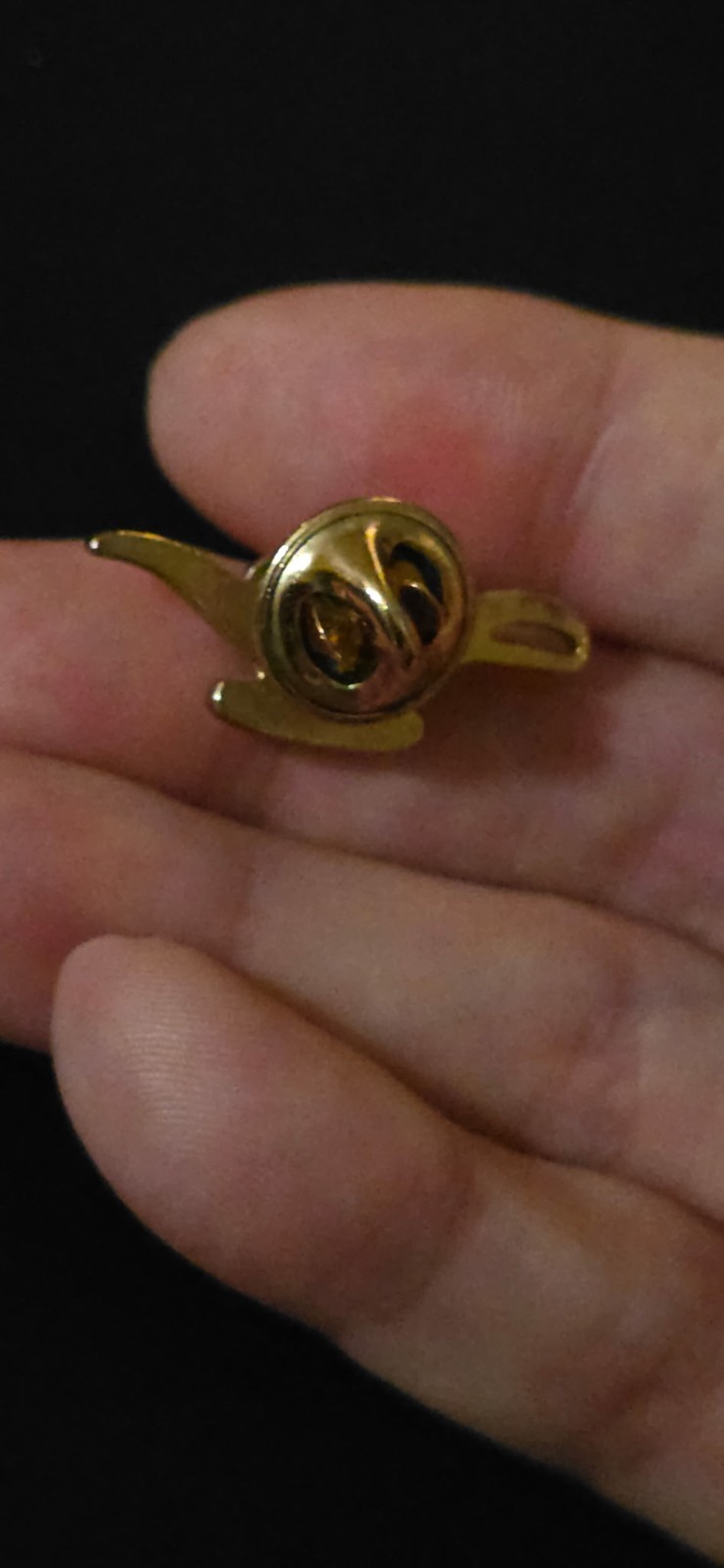 Aladdin Gold Tone Lamp Lapel Pin & Brooch with Clutch Back, Floral Theme