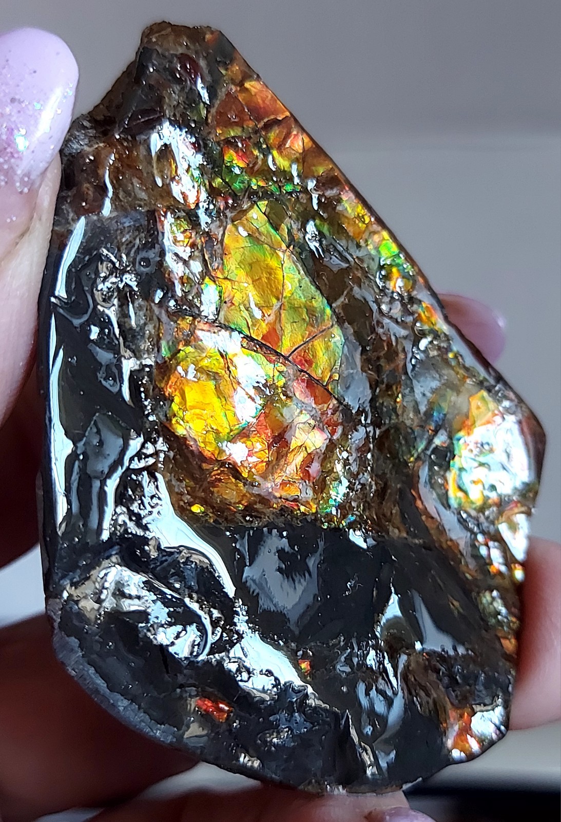 Ammolite Ammonite tabletop Display Piece 51×53.2×14.7mm 3186