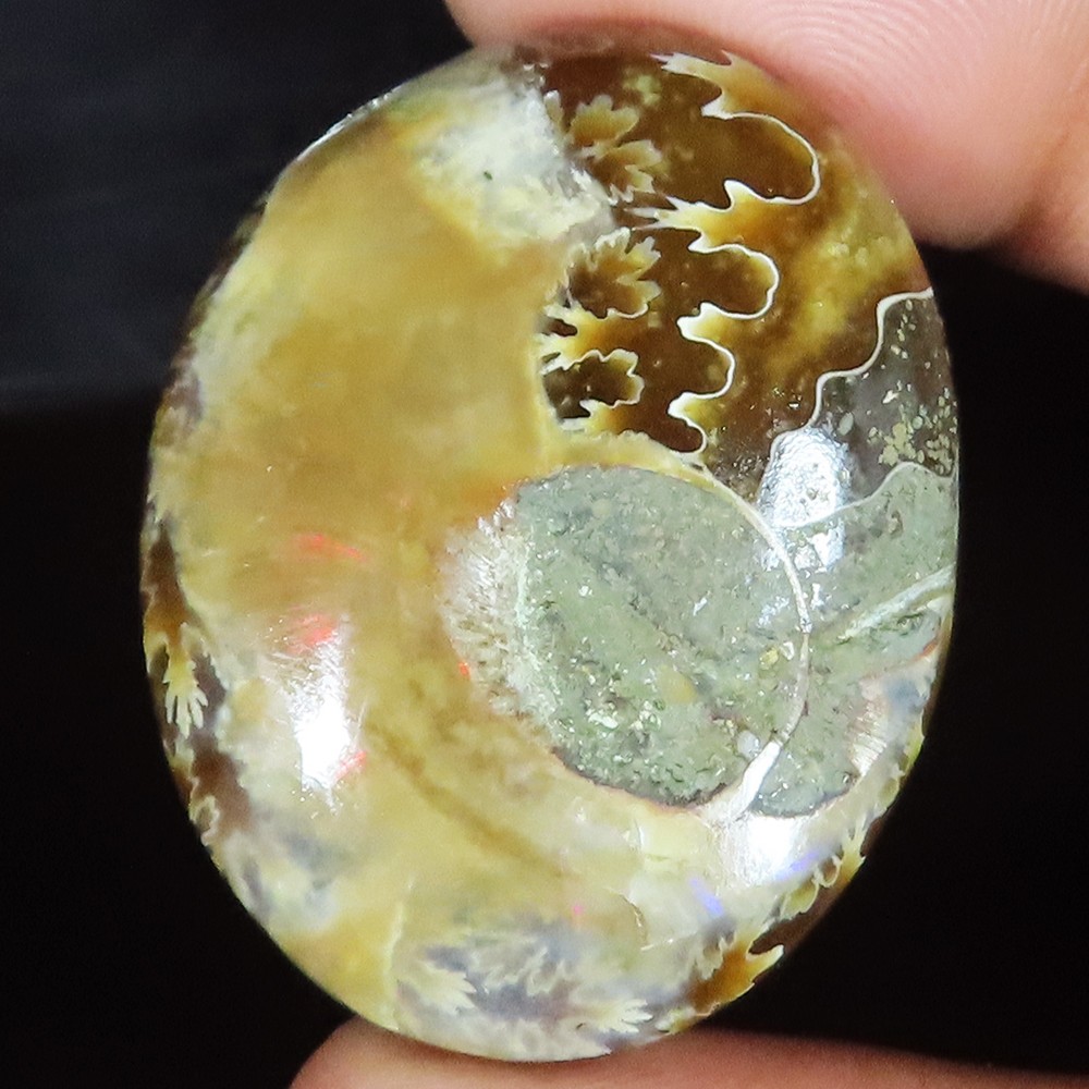 100% Natural Ammonite Fossil Cabochon Oval Gemstone 80.85 Cts 28x36x9 mm YU429