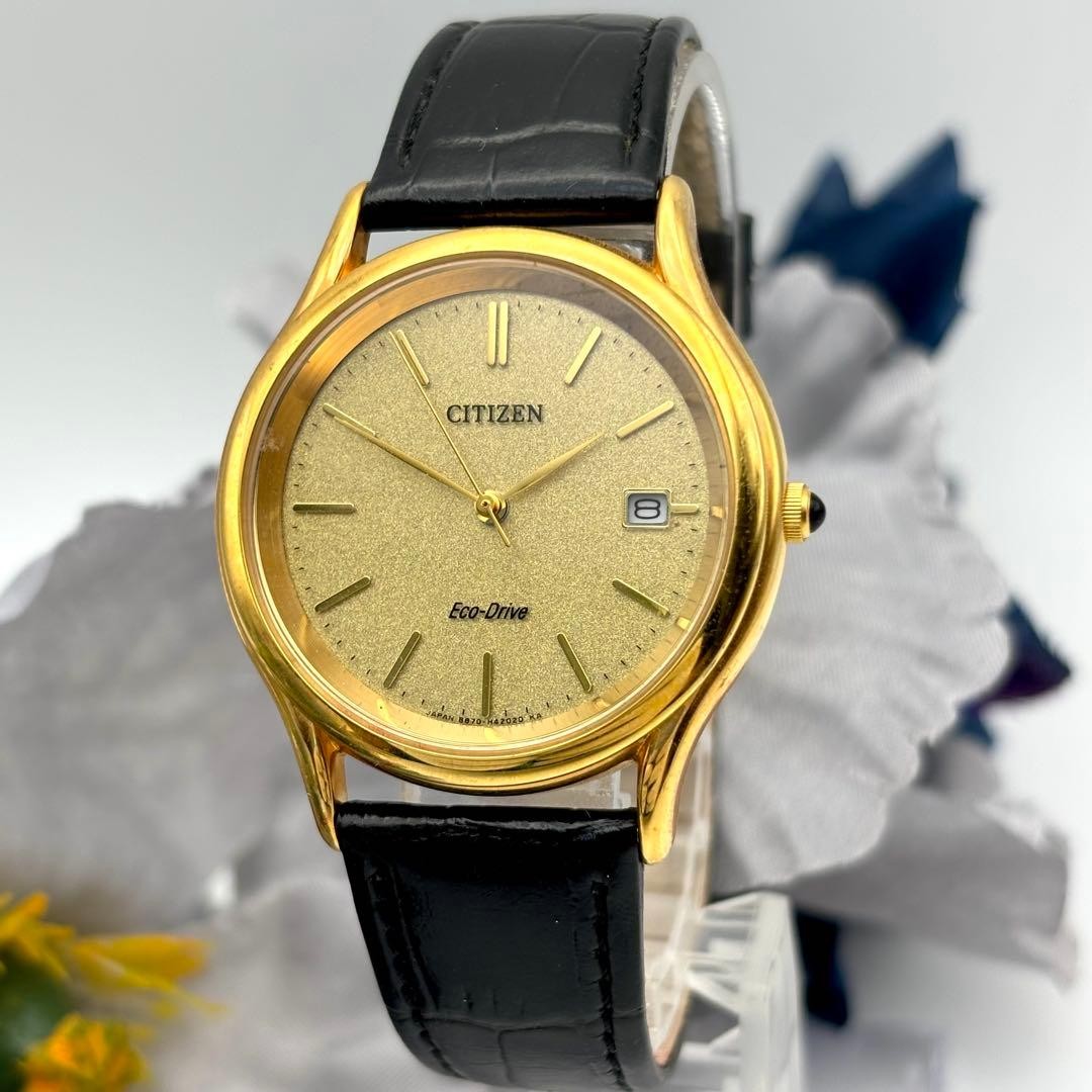 Citizen Eco-Drive Solar Men’s Date Watch Gold Dial