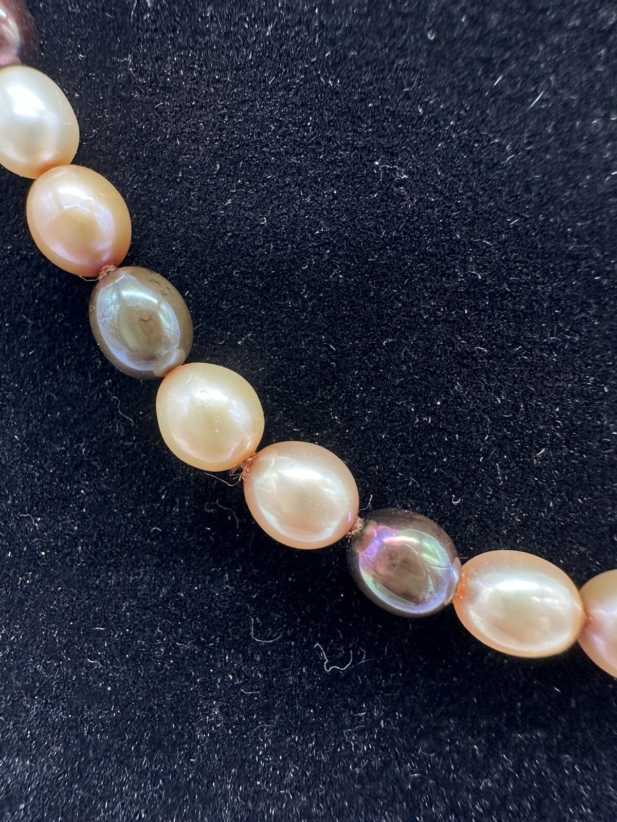 HONORA PEARL NECKLACE GOLDEN BROWN CREAM CHAMPAGNE WINE Chocolate Multicolor