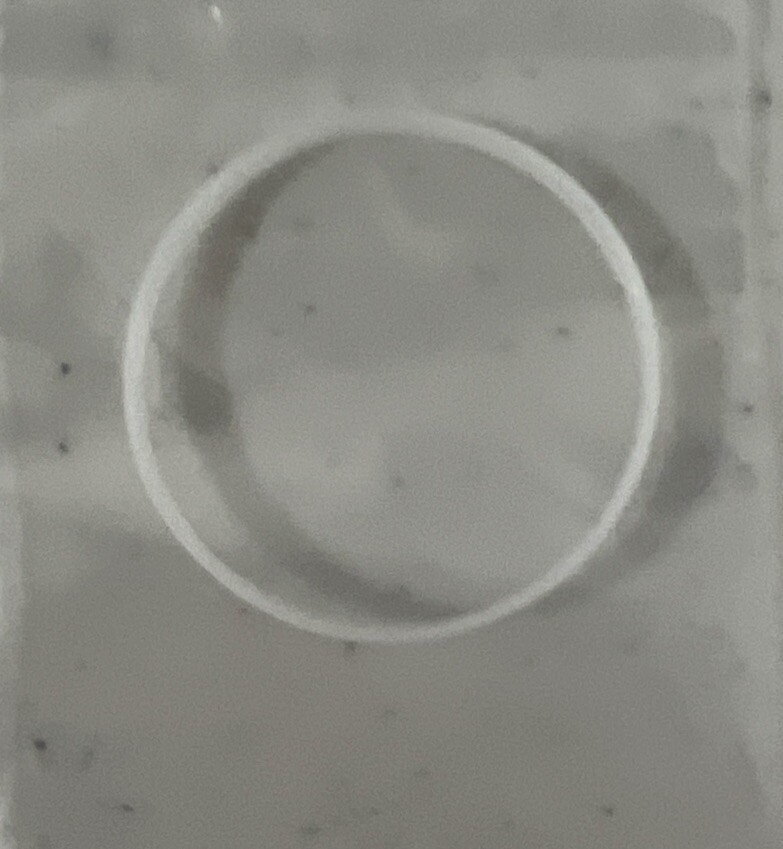 Genuine Rolex 216570 Crystal Gasket BRAND NEW Genuine B29-317-2-C5 One Gasket