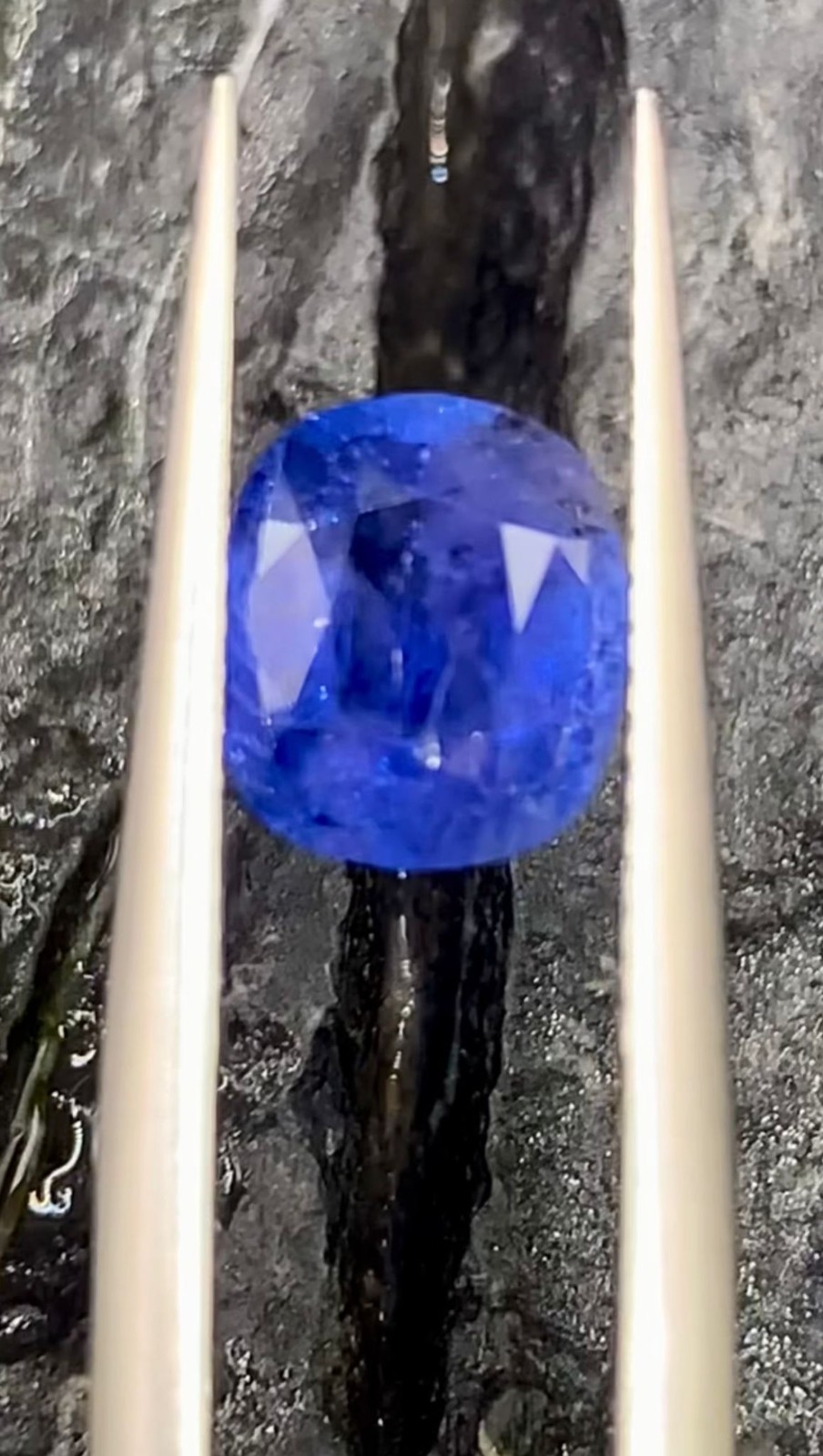 1.58Ct Natural Unheated Rare Sovereign Blue Kashmir Sapphire
